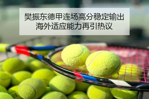 樊振东德甲连场高分稳定输出 海外适应能力再引热议
