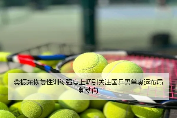 樊振东恢复性训练强度上调引关注国乒男单奥运布局新动向