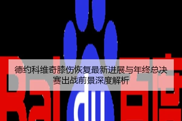 德约科维奇膝伤恢复最新进展与年终总决赛出战前景深度解析